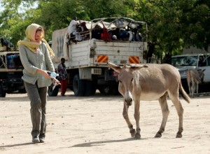 299508_286317648054157_1758400370_n